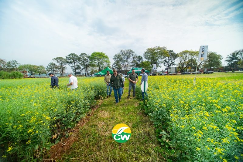 Recorrida técnica entre los ensayos