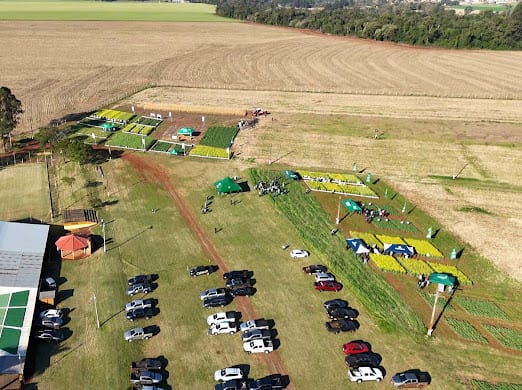 Día de campo del Simposio de Canola