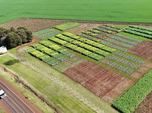 Participación de productores en el Simposio