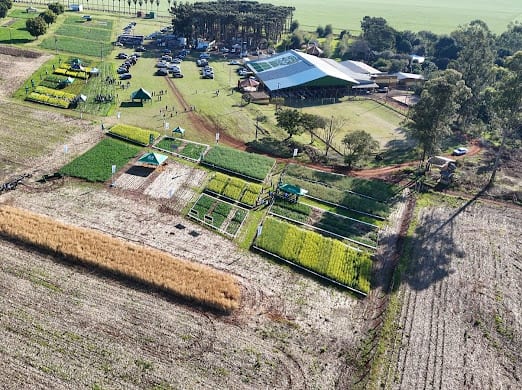 Recorrida técnica en el Simposio de Canola